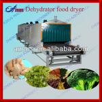 New functional mesh-belt drying machine/dehydrator/dryer for sale