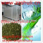 vegetable dryer/chili drying machine/automatic green onion drying machine//0086-13676910179