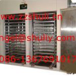 large capacity food drying cabinet //0086-13676910179-