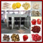 industrial fruit drying oven/coconut drying machine/vegetable dehydrator machine-