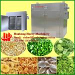 China automatic fruit dryer/ food/vegetable dryer machine/ food dehydrator machine-