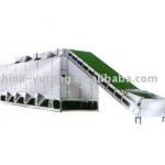 DWC Series Mult-layer Pentrating Mesh-Belt Dryer