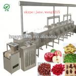 tea drying machine/microwave drying equipment/vegetables dryer machine