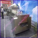 Industrial continuous microwave dryer for anchovies