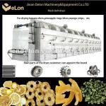 Continuous processing industrial fruit dryer for drying pineapple/apple slice/banana dices/Mango strips