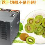 Fruit drying machine 0086-18739193590