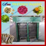 2013 full 304 stainless steel RXH-27-C 200kg/batch fruit and vegetable processing machines dried vegetable flakes dryer