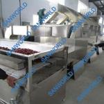 Microwave Drying Machine Manufacturer