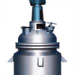 SS304 chemical reactor-