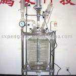 10L lab jacketed glass reactor (supreme quality GG17 or GG3.3 glass ,321 SS material,PTFE sealing,1~100L available,10days DT)