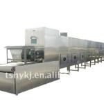 Tunnel Microwave Sterilizing and Drying Machine-