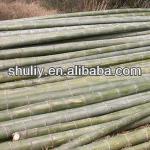 hot Bamboo flaker machine/toothpick machine/bamboo processing machine+0086 15838061730