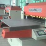 LS-125 Automatic plastic punching machine