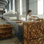 Continuous conveyor tunnel wood drying and heating microwave equipment