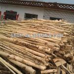 High efficiency wood debarker/log debarker machine /wood debarker machinery 0086--15838061759