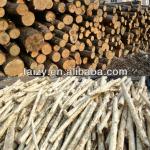 Tree peeling machine wood debarking machine/wood debarker 0086-18703616827