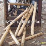 Slot wood debarker machine / wood debarker /wood barker 0086-18703616827