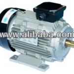 ELECTRIC MOTOR