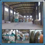 Professional large scale biomass wood pellet plant