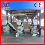 Ring Die Manufacture Sale Biomass Pellet Mill(0086-13721419972)