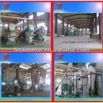 Plant Wood And Straw Pellet Production Line With High Turnover Rate (0086-13721419972)