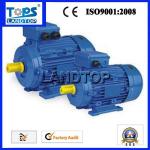 LTP MS Industrial Motor
