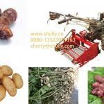 taro/sweet potato/potato/peanut harvester run by walking tractor 0086-13523059163-