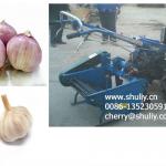 run by with walking tractor 500-600 working width onion and garlic harvester 0086-13523059163-