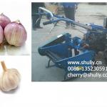 run by with walking tractor 500-600 working width onion and garlic harvester 0086-13523059163