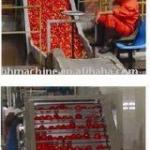 Ketchup Production Line
