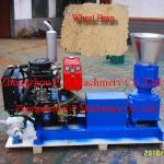 Small Diesel Starter Pelletizer With High Capacity (CE Approved) Hot For Exporting
