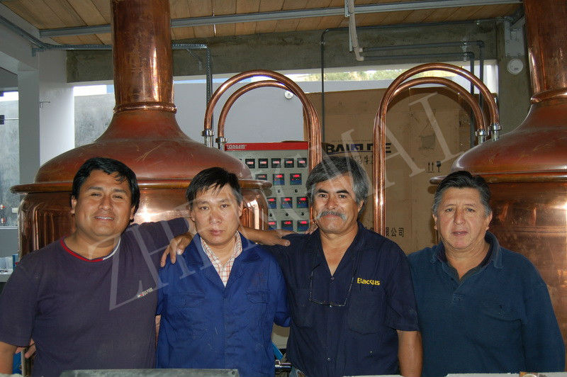 1000L Red copper beer brewery equipment