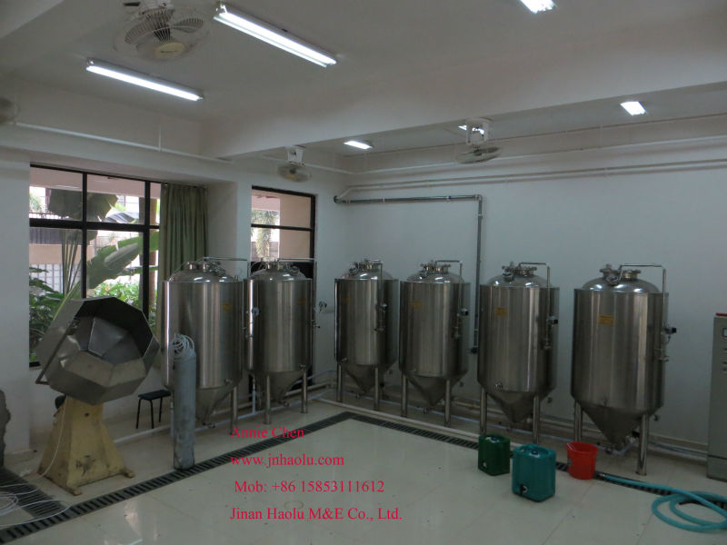 100L draft beer brewing fermentor for family drinking