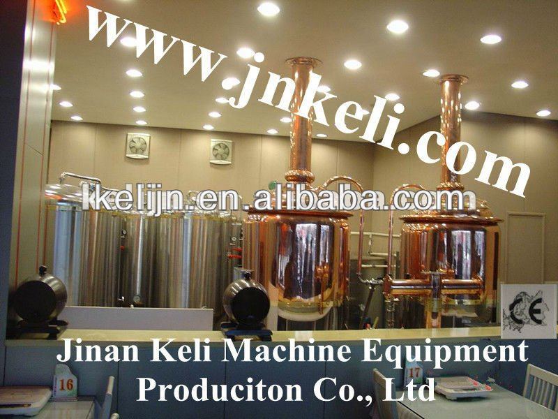 100L restaurant beer equipment, home brewing, mini brewery