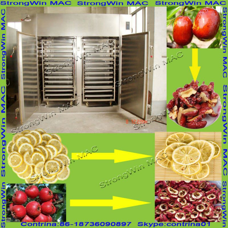 2013 Best Selling Good Quality Fruits Drying Machine for Sale