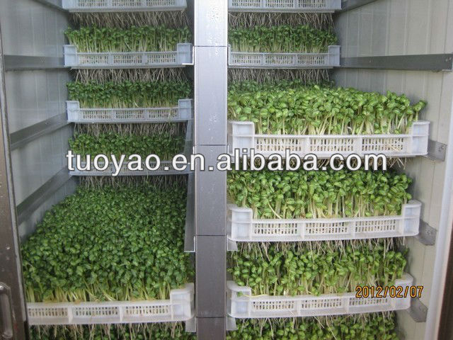 2013 HOT selling Fodder Sprouting System for Animal Feed