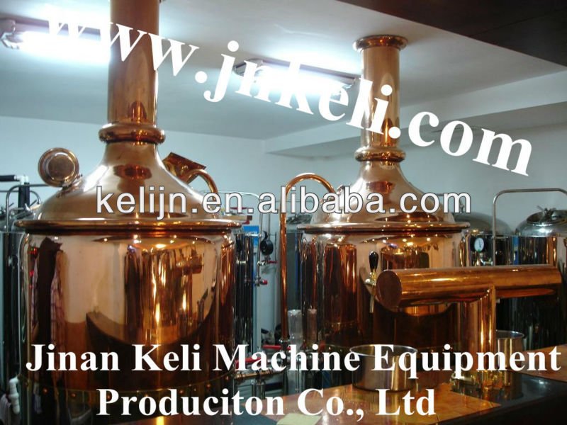 300L hotel beer equipment, micro beer making equipment, small beer brewery