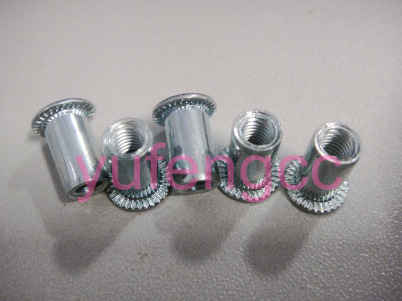 4mm carbon steel round body rivet nut fasteners white zinc plating made in China