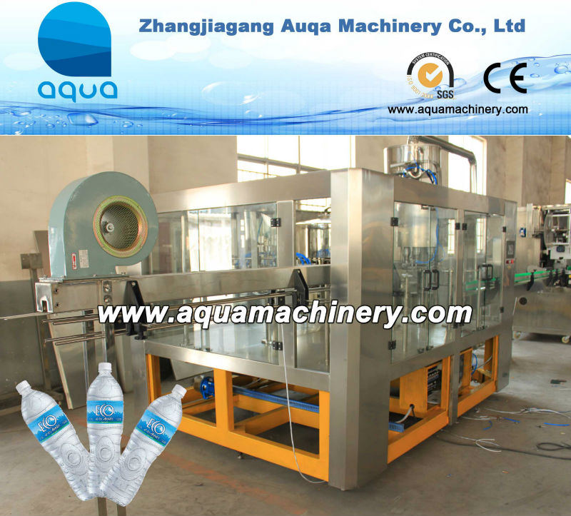 6000B/H Mineral Water Filling Plant/Equipment/Machine