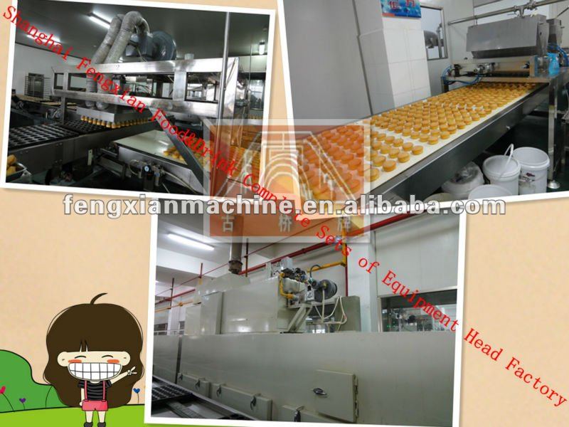 8-9t/d Full Automatic cake making machine