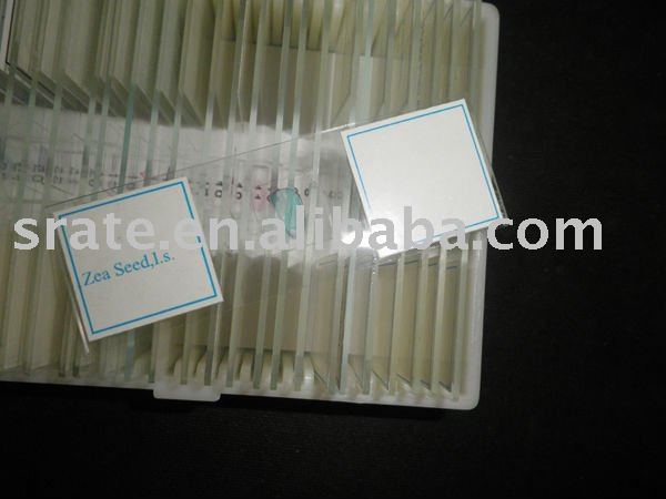 91 Pcs Various Glass Prepared Microscope Slides