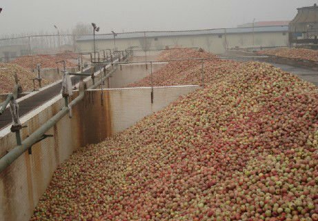 apple juice processing machine