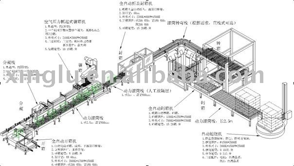 Auto Carton Packaging Line