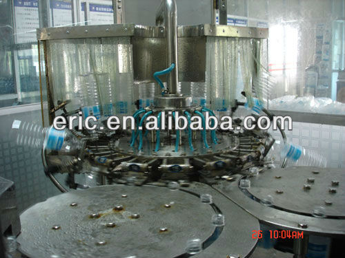 Automatic Bottle Rinsing Machine