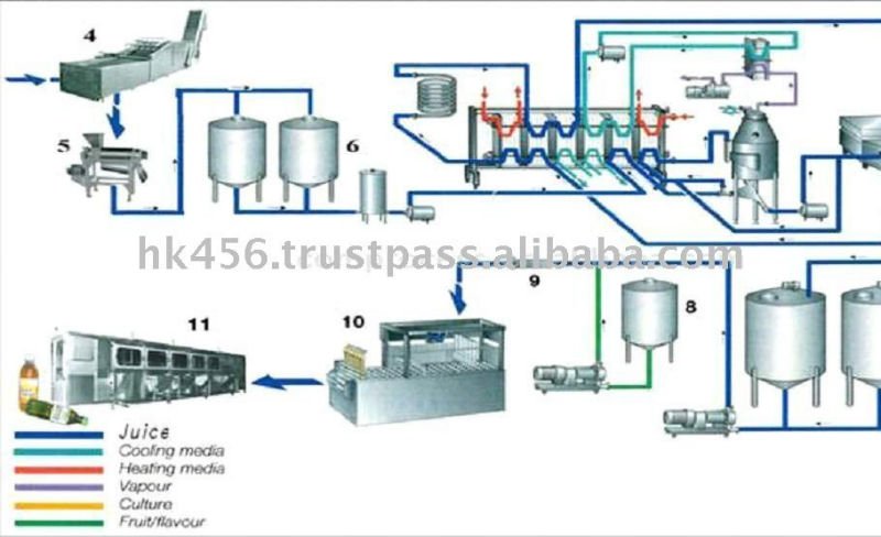 Automatic Fruit Juice Processing Line