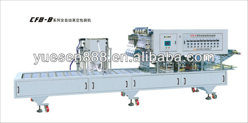 Automatic Vacuum Packaging Machine