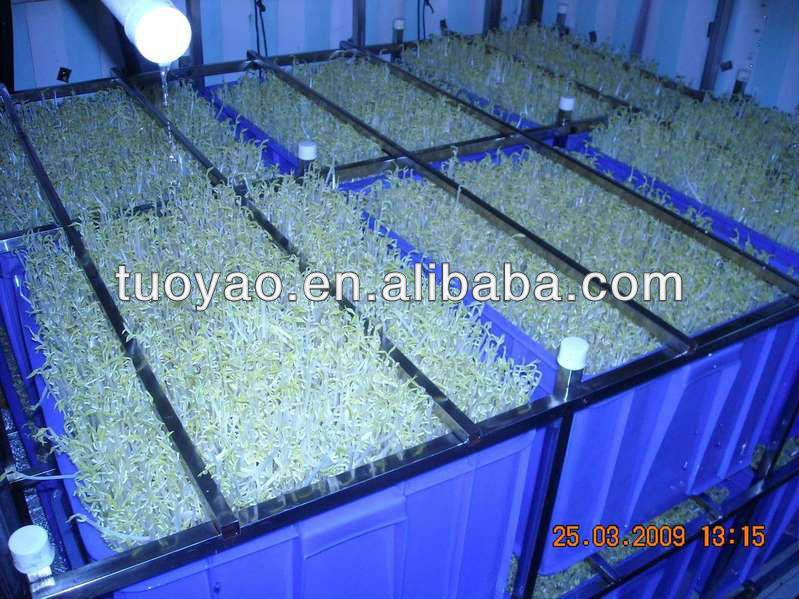 Bean processing machinery / Automatic Soybean Sprout machine