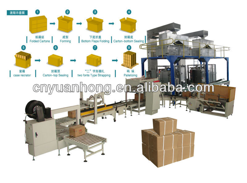 carton packing machine for bags and box