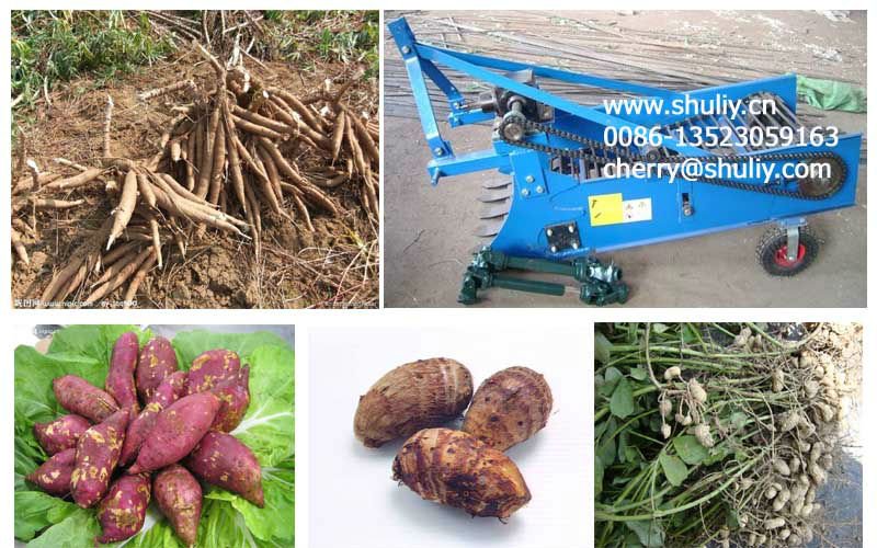 cassava harvester 0086-13523059163