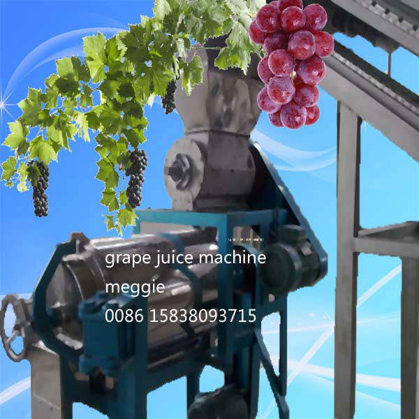 cheap price 304 stainless steel grape juice extractor/grape juicer machine/grape juice making machine/Celery juice machine